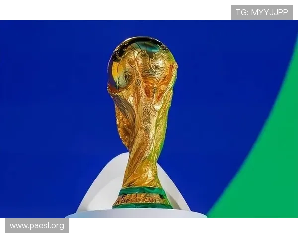 国际足联遭批世界杯管控失当争